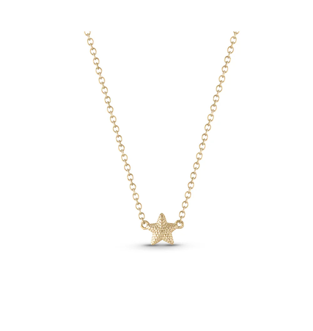 TWINKLE   STAR   NECKLACE